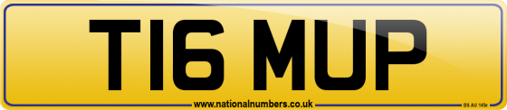 T16 MUP