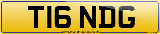 T16 NDG