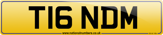 T16 NDM