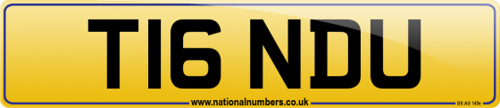 T16 NDU