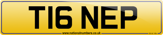 T16 NEP