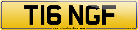 T16 NGF