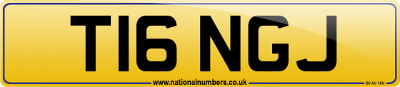 T16 NGJ