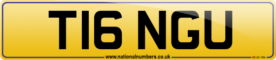 T16 NGU