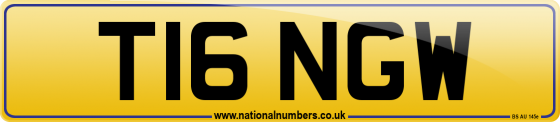 T16 NGW