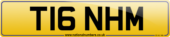 T16 NHM