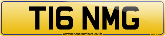 T16 NMG