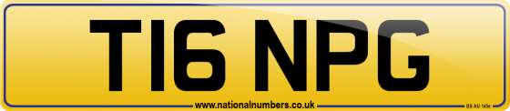 T16 NPG