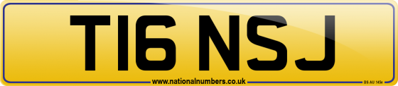 T16 NSJ