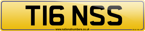 T16 NSS