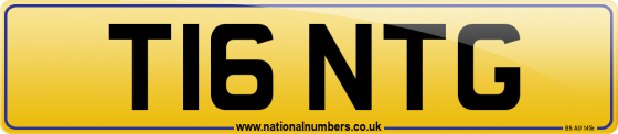T16 NTG