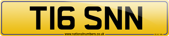 T16 SNN