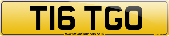 T16 TGO