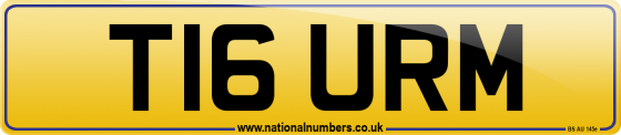 T16 URM