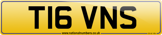 T16 VNS
