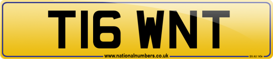 T16 WNT