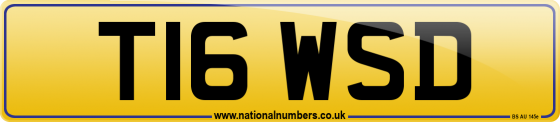 T16 WSD