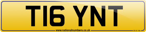 T16 YNT
