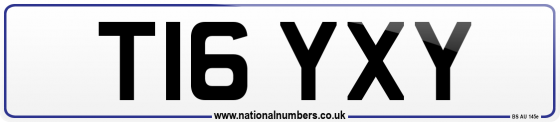 T16 YXY