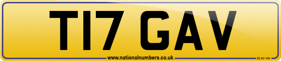 T17 GAV