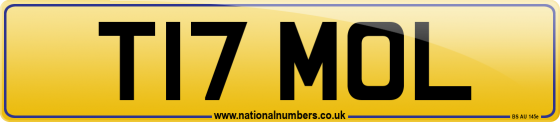 T17 MOL