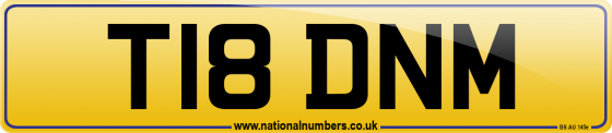 T18 DNM