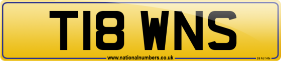 T18 WNS