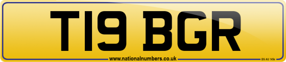 T19 BGR