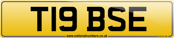 T19 BSE