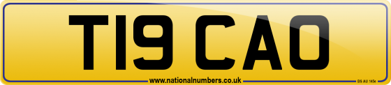 T19 CAO