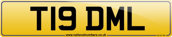 T19 DML