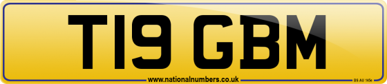 T19 GBM