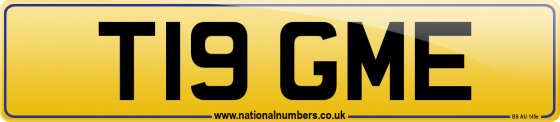 T19 GME