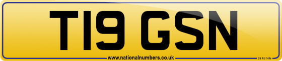 T19 GSN