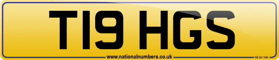 T19 HGS