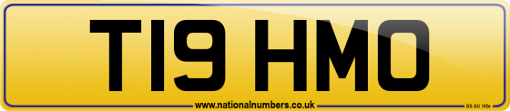 T19 HMO