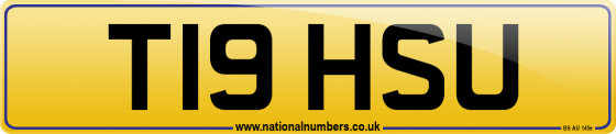 T19 HSU