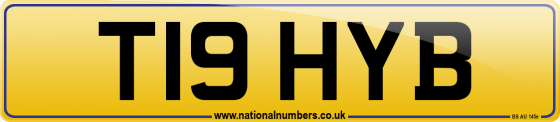 T19 HYB