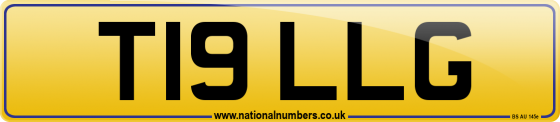 T19 LLG