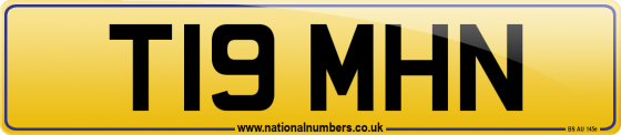 T19 MHN