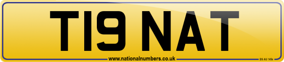 T19 NAT
