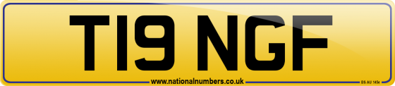 T19 NGF