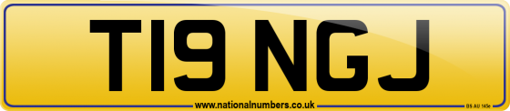 T19 NGJ