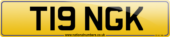 T19 NGK
