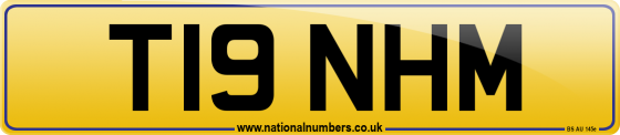 T19 NHM