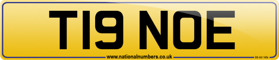 T19 NOE