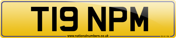 T19 NPM