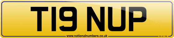 T19 NUP