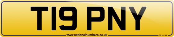 T19 PNY