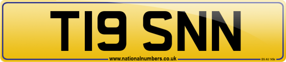 T19 SNN